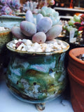 Handmade succulent pot colour glaze