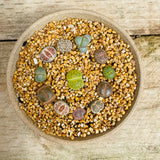 Lithops - Random mix of 7