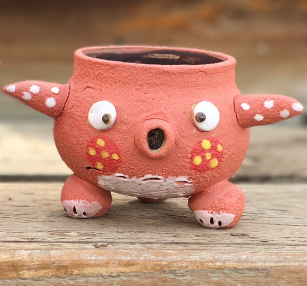 Hand Made Pink Octopus Pot