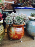 Handmade succulent pot colour glaze