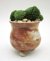 Handmade succulent pot colour glaze